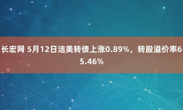 长宏网 5月12日洁美转债上涨0.89%，转股溢价率65.46%