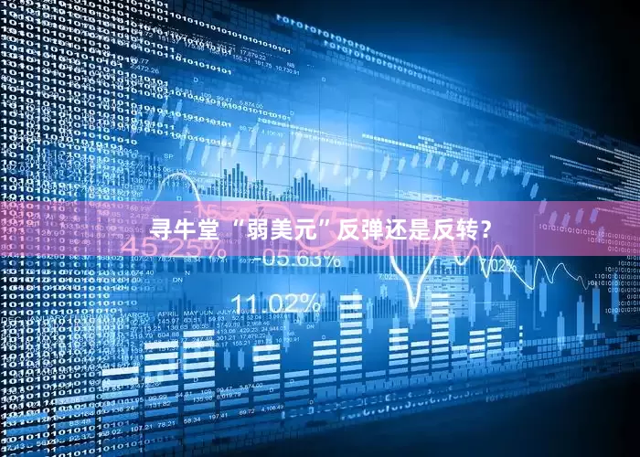 寻牛堂 “弱美元”反弹还是反转？