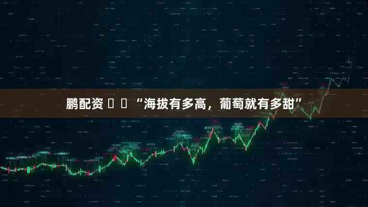 鹏配资 ‍‍“海拔有多高，葡萄就有多甜”